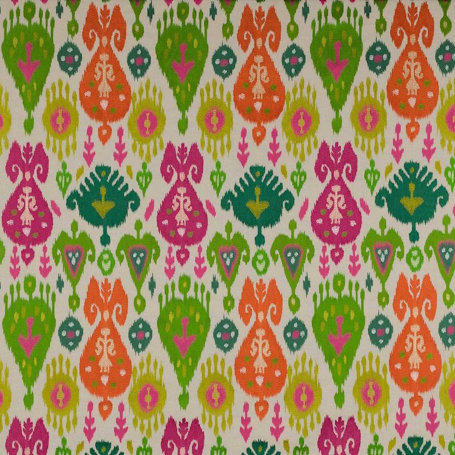 Thara Abricot