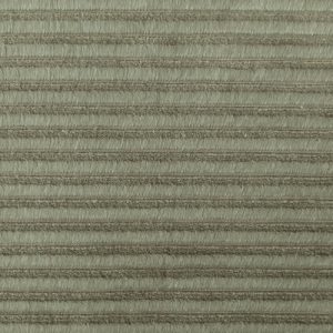Gea Thymian
