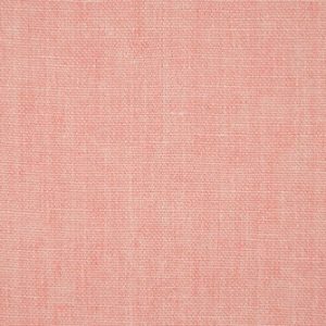 Saturnia Flamingo