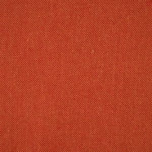 Saturnia Paprika