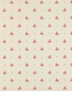 Ashling Pink