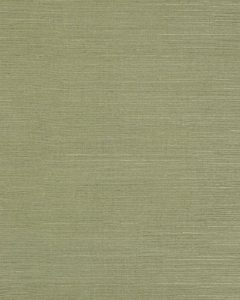 Seagrass Fern