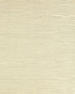 Seagrass Fog