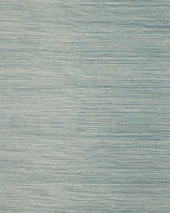 Seagrass Ocean