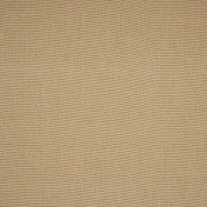 Amira Flax