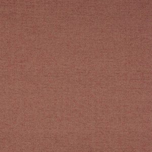 Bantry Rose