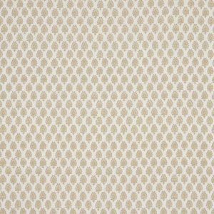 Celeste Beige