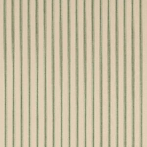Claude Stripe Green