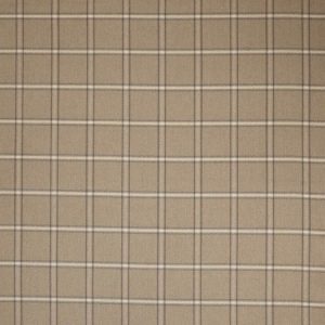 Fen Plaid Beige