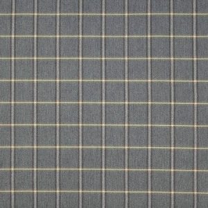 Fen Plaid Blue