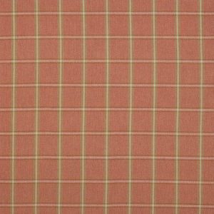 Fen Plaid Tomato