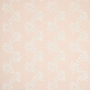 Lavinia Pink