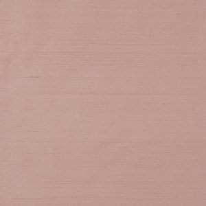 Pamina Pink