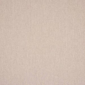 Royce Plaster