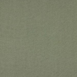 Tyndall Silverleaf