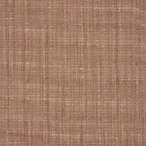 Walcott Terracotta