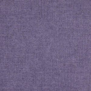 Asta Iris