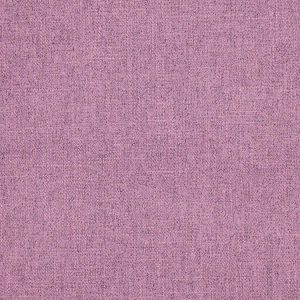 Asta Lilac