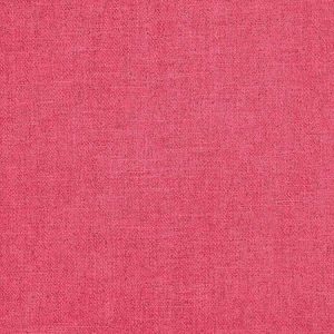 Asta Raspberry
