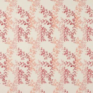 Clemence Pink