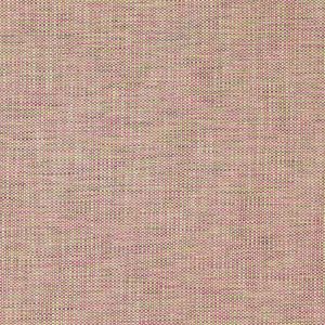 Daro Pink/Green