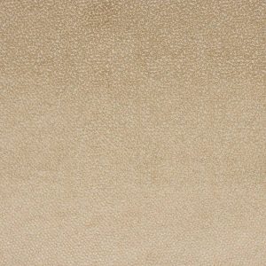 Darwin Beige