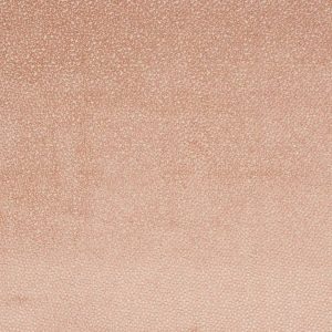Darwin Pink