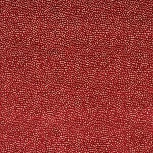 Darwin Red