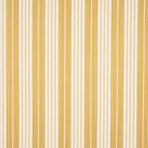 Deacon Stripe Yellow