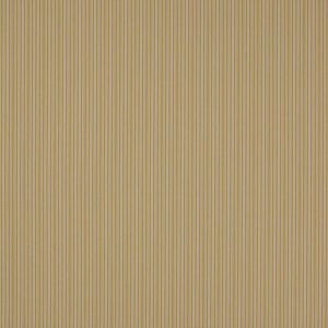 Ellis Yellow