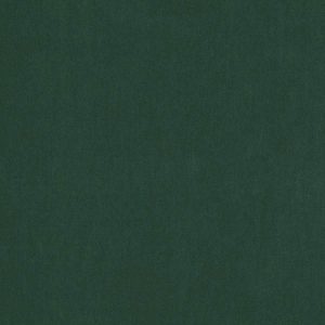 Emile Bottle Green