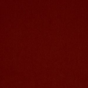 Emile Burnt Orange