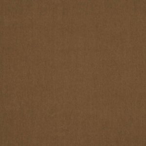 Emile Taupe