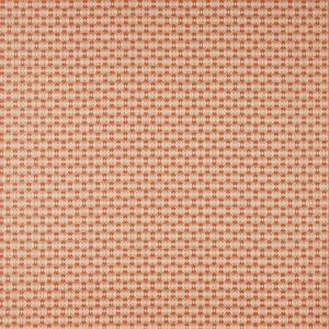 Holston Orange