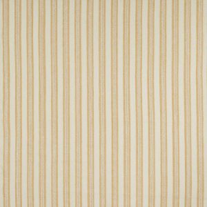Innis Stripe Yellow