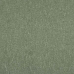Kline Spruce