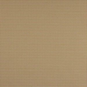 Ludo Ochre