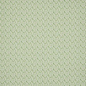 Nori Green