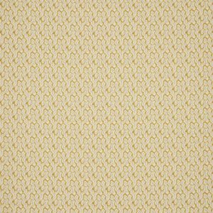 Nori Ochre