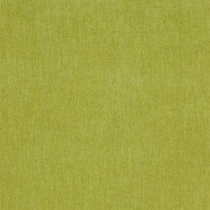 Palma Lime