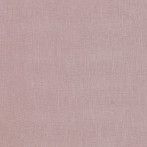 Palma Rose