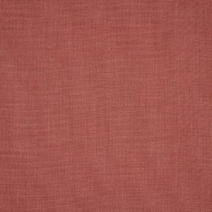Petrus Brick