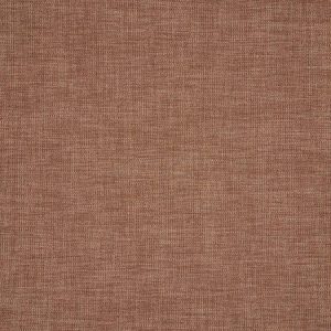 Petrus Cinnamon