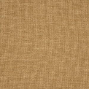 Petrus Ochre