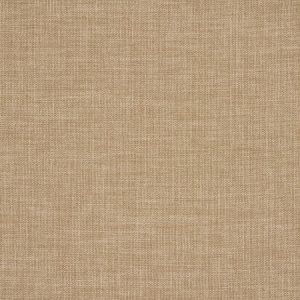 Petrus Taupe