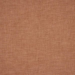 Petrus Terracotta