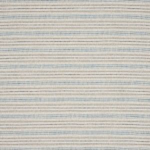 Rex Stripe Blue