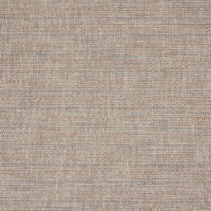 Rex Taupe