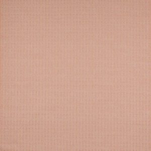 Robin Red/Orange