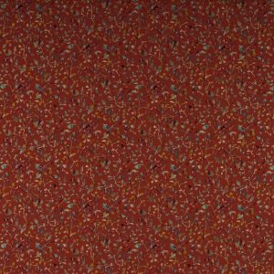 Tadorna Red